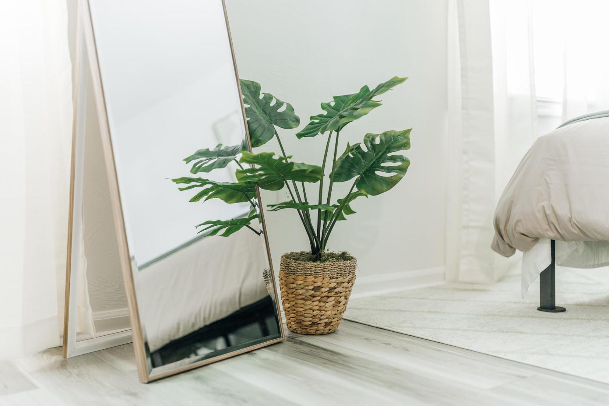 Tranquil Luxury: Modern Comfort! Линчбърг Екстериор снимка